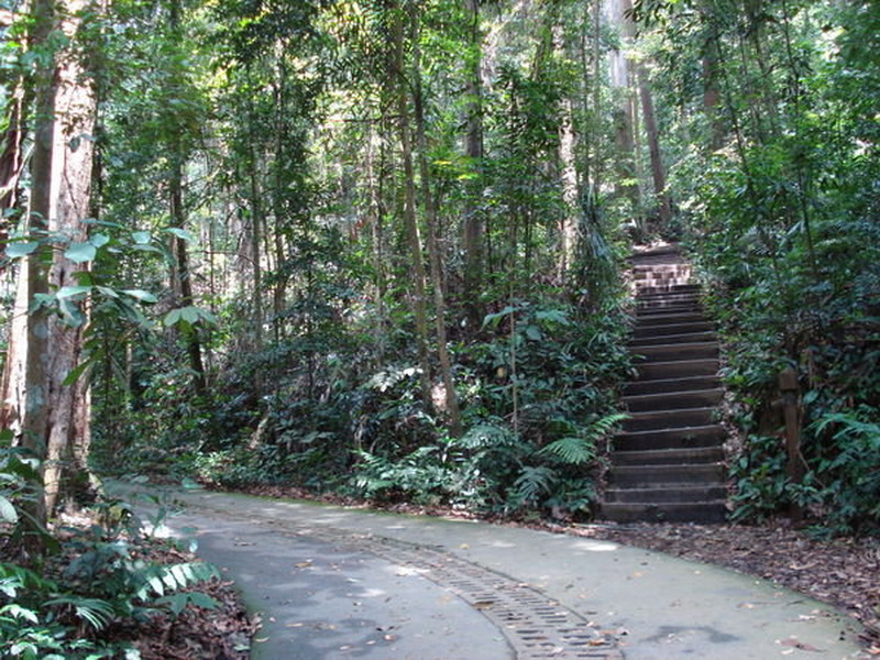 Singapore, Bukit Timah Singapore, Bukit Timah